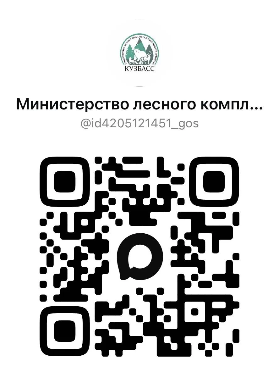Сегодня открыл комментарии в своем официальном канале в национальном месенжере "Макс". Это поручение