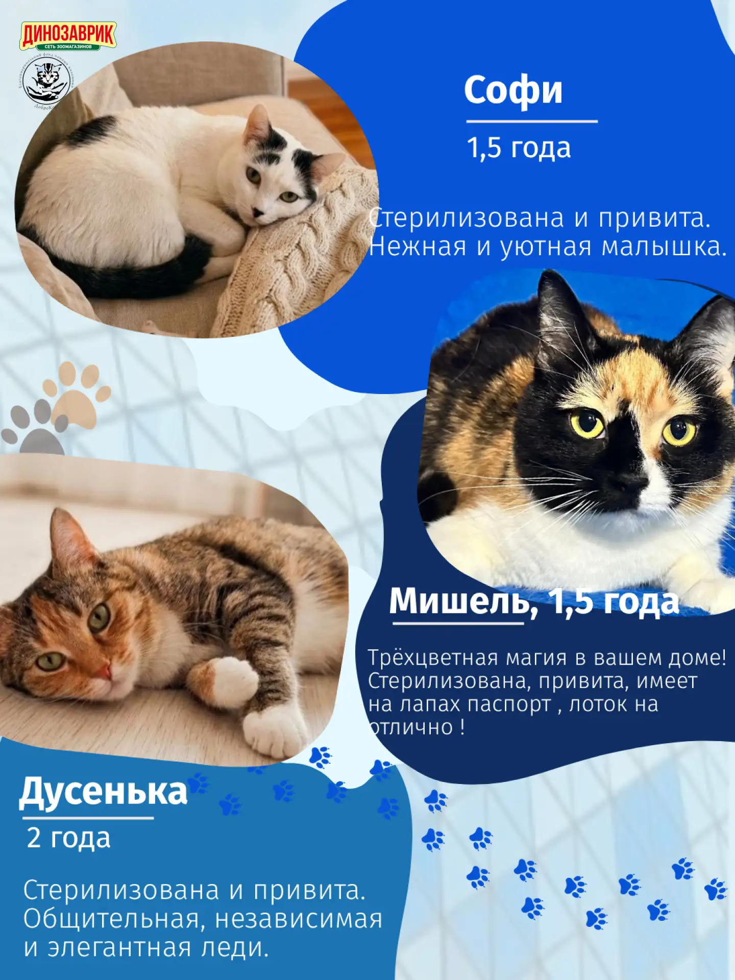 Уже 14 июня в ТЦ «Арена Плаза» будет царить совершенно особая атмосфера. Такие события запоминаются 