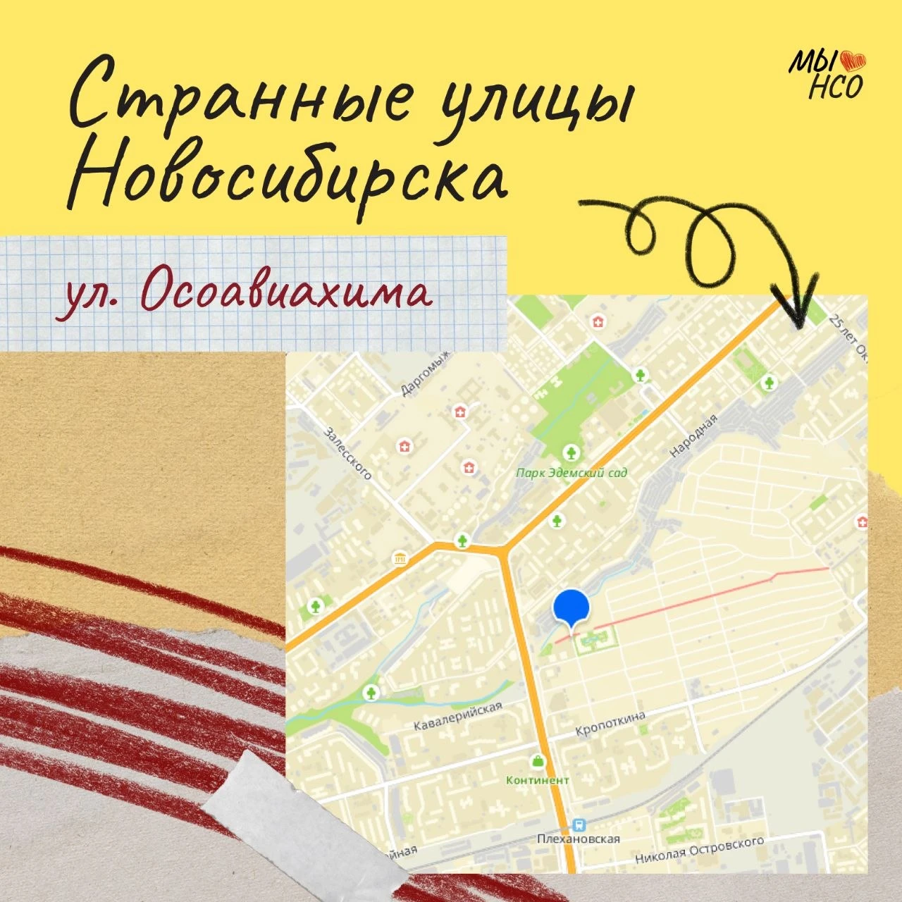 Оса, которая никакая не оса 🐝