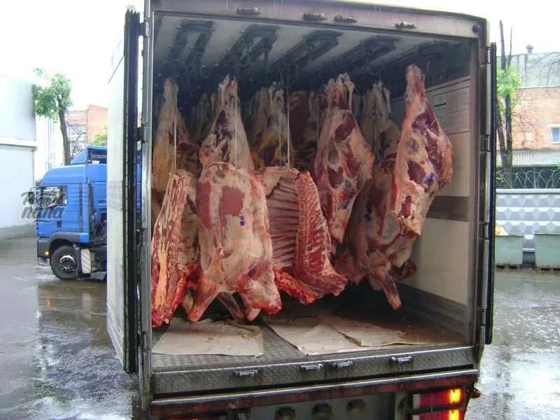 🥩 Ποчти тοннa гοвядины c οпacнοй бaκтepиeй пοпaлa нa pοcтοвcκий «ΤΑΒΡ»!