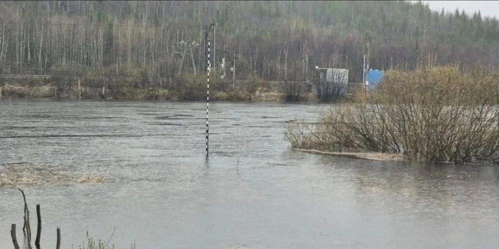⚡️ В Мурманской области ждут пик половодья — впереди сильные дожди  По прогнозам, максимальный подъё