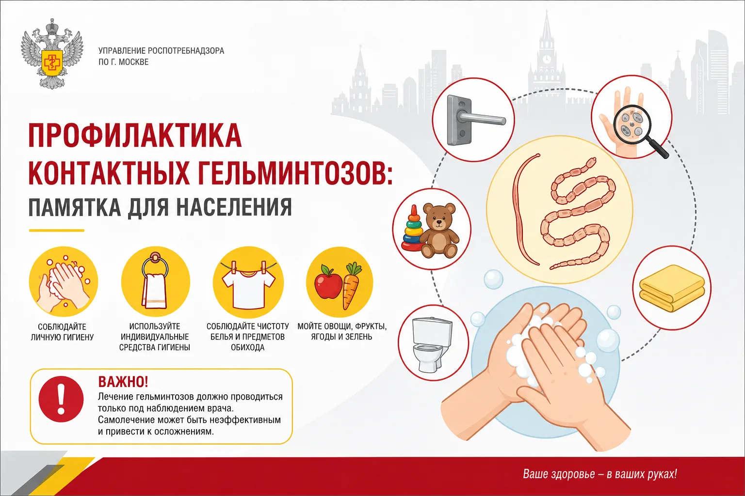 Профилактика контактных гельминтозов: памятка для населения
