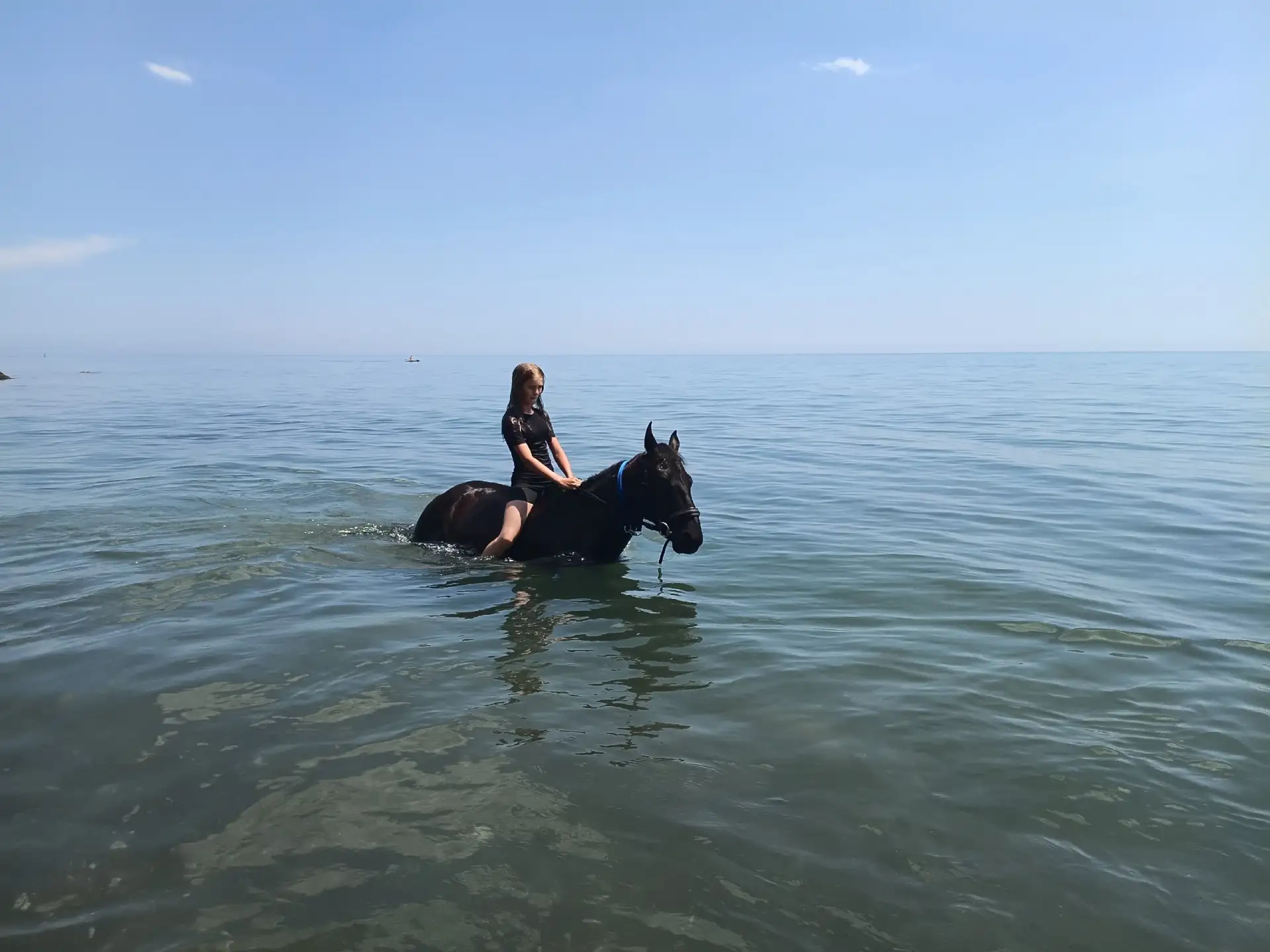 Мы добрались до моря!