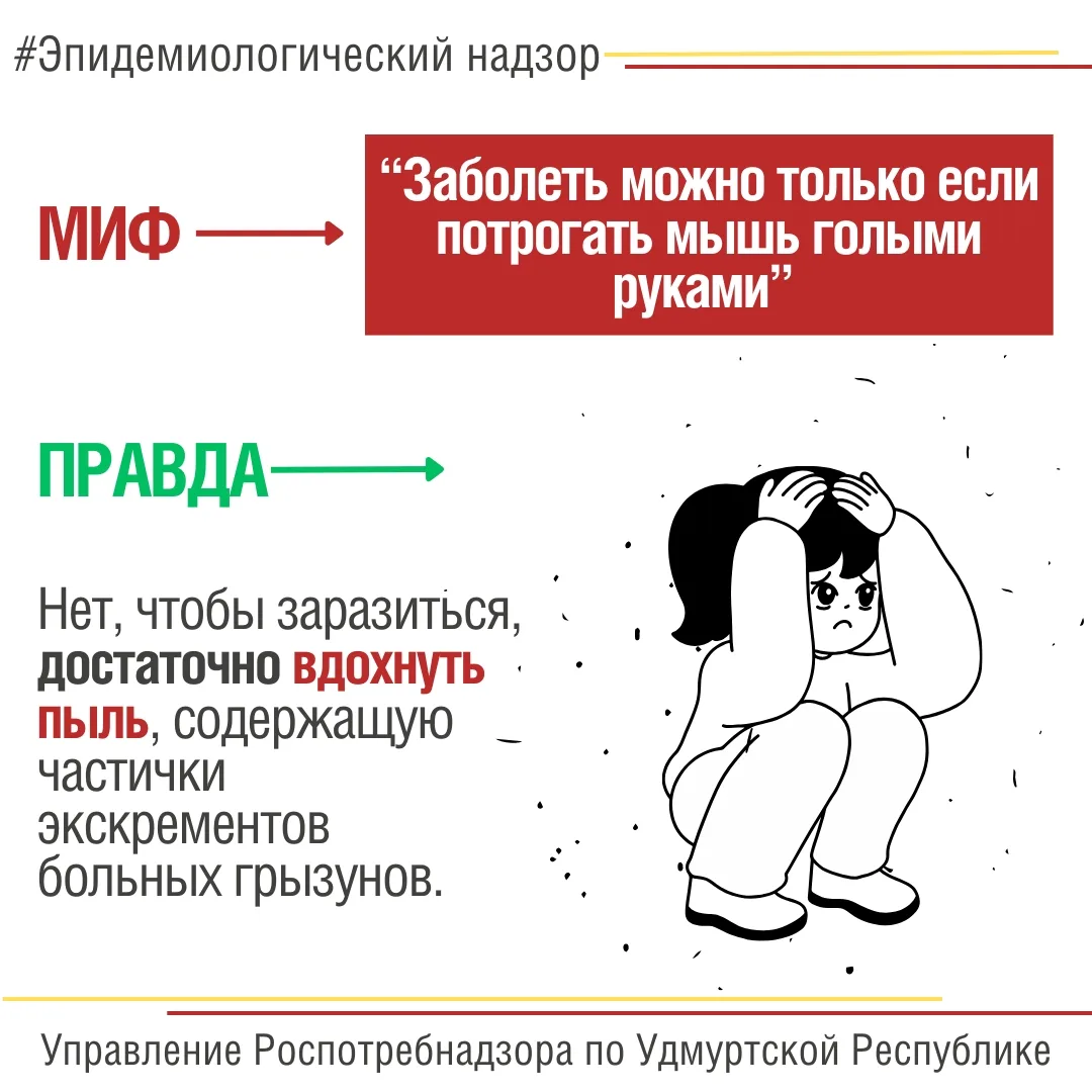 🐭За январь-май 2026 года на территории Удмуртии зарегистрировано 93 случая ГЛПС, из них в мае - 41 
