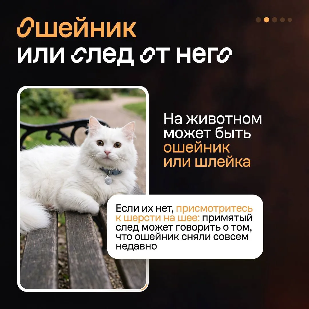 Изображение 3 к публикации «Авито для бизнеса»