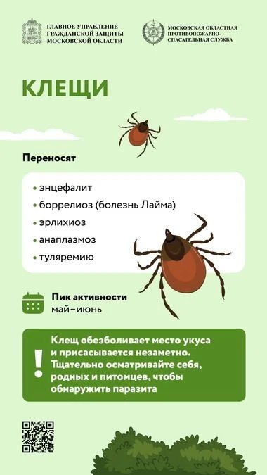 ☀️ Май радует жителей Подмосковья по-настоящему теплой и солнечной погодой – дома не усидеть, так и 