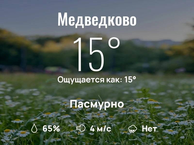 Что с погодой в Медведково?