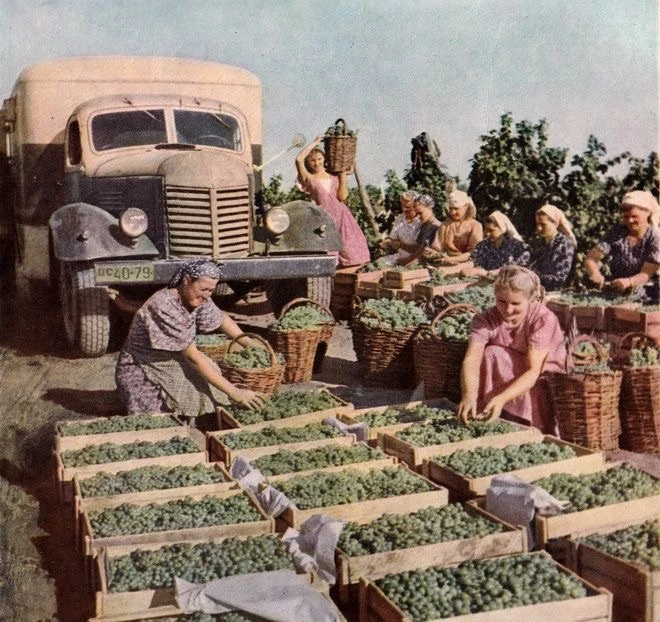 1955 г. Фото Н. Козловского. Журнал "Огонёк" Nº
44 октябрь

НОСТАЛЬГИЯ | СССР