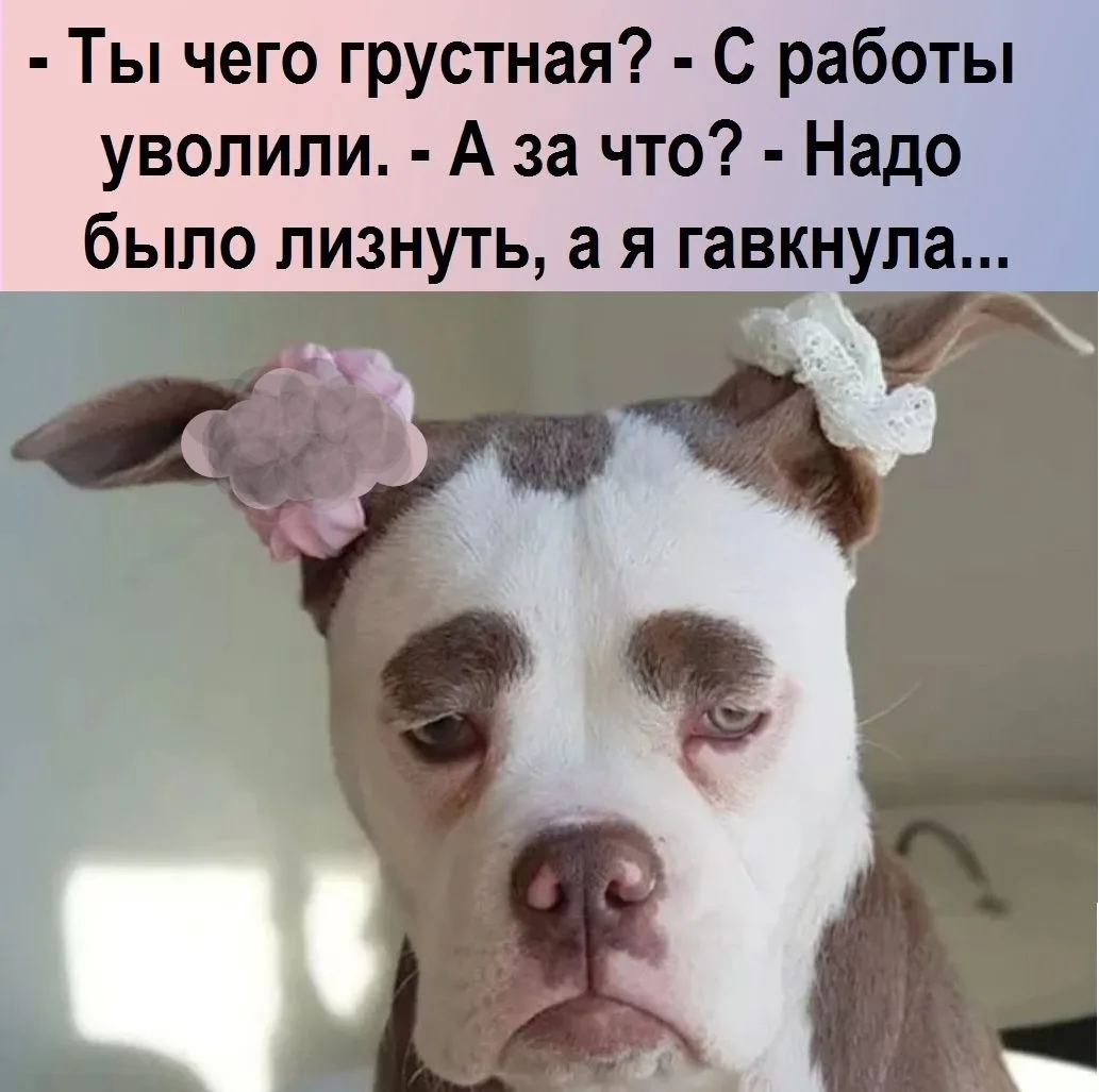 👑 Мадам с характером|