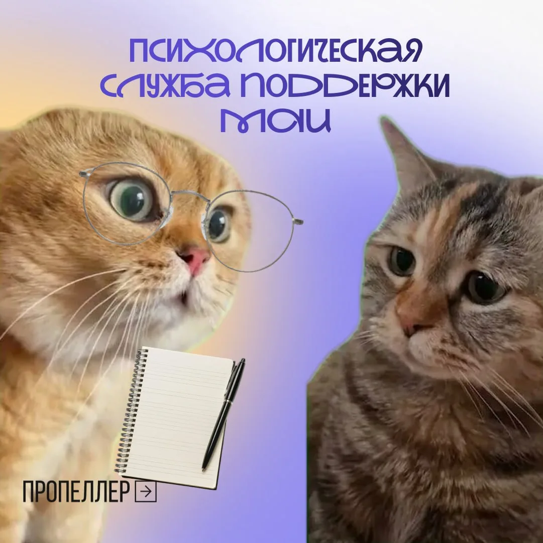 📚 Новый учебный год — это не только пары, дедлайны и новые знакомства, но и время, ког...