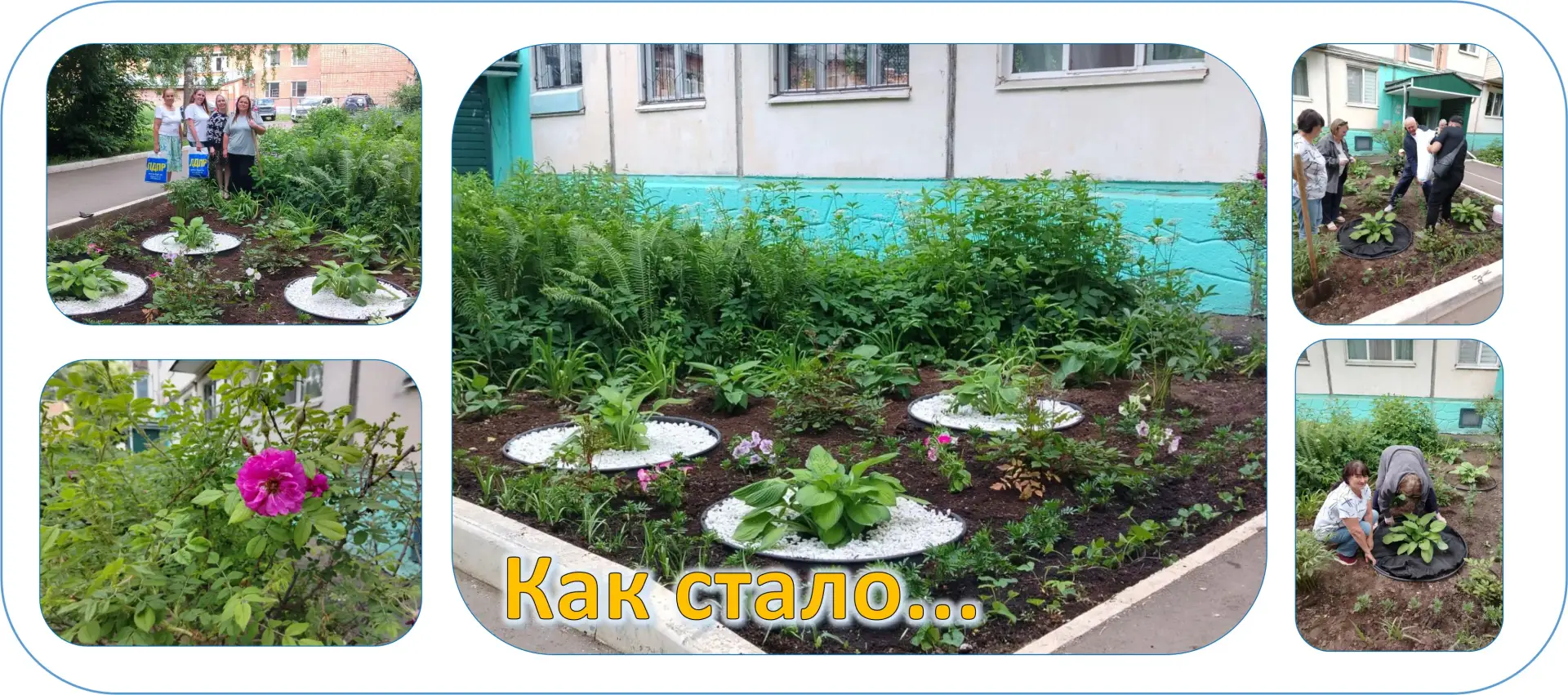 #День Двора #ДетскийСад233 #Луначарского21