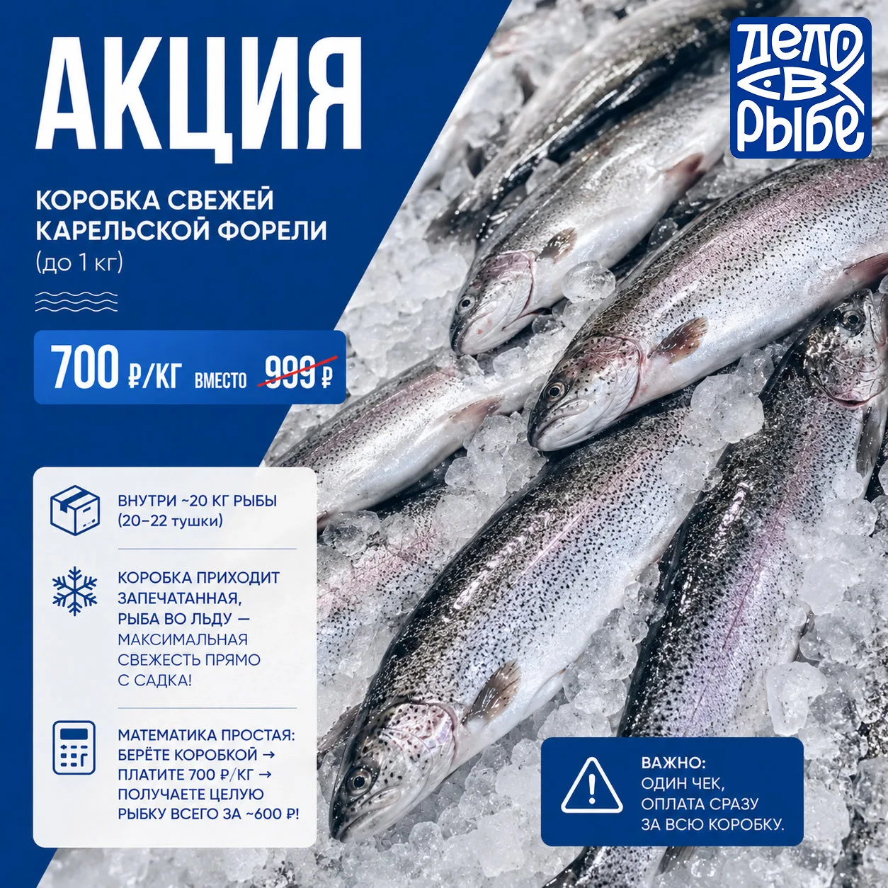 🤫 СЕКРЕТ, КОТОРЫЙ МЫ БОЛЬШЕ НЕ МОЖЕМ ДЕРЖАТЬ В СЕКРЕТЕ!