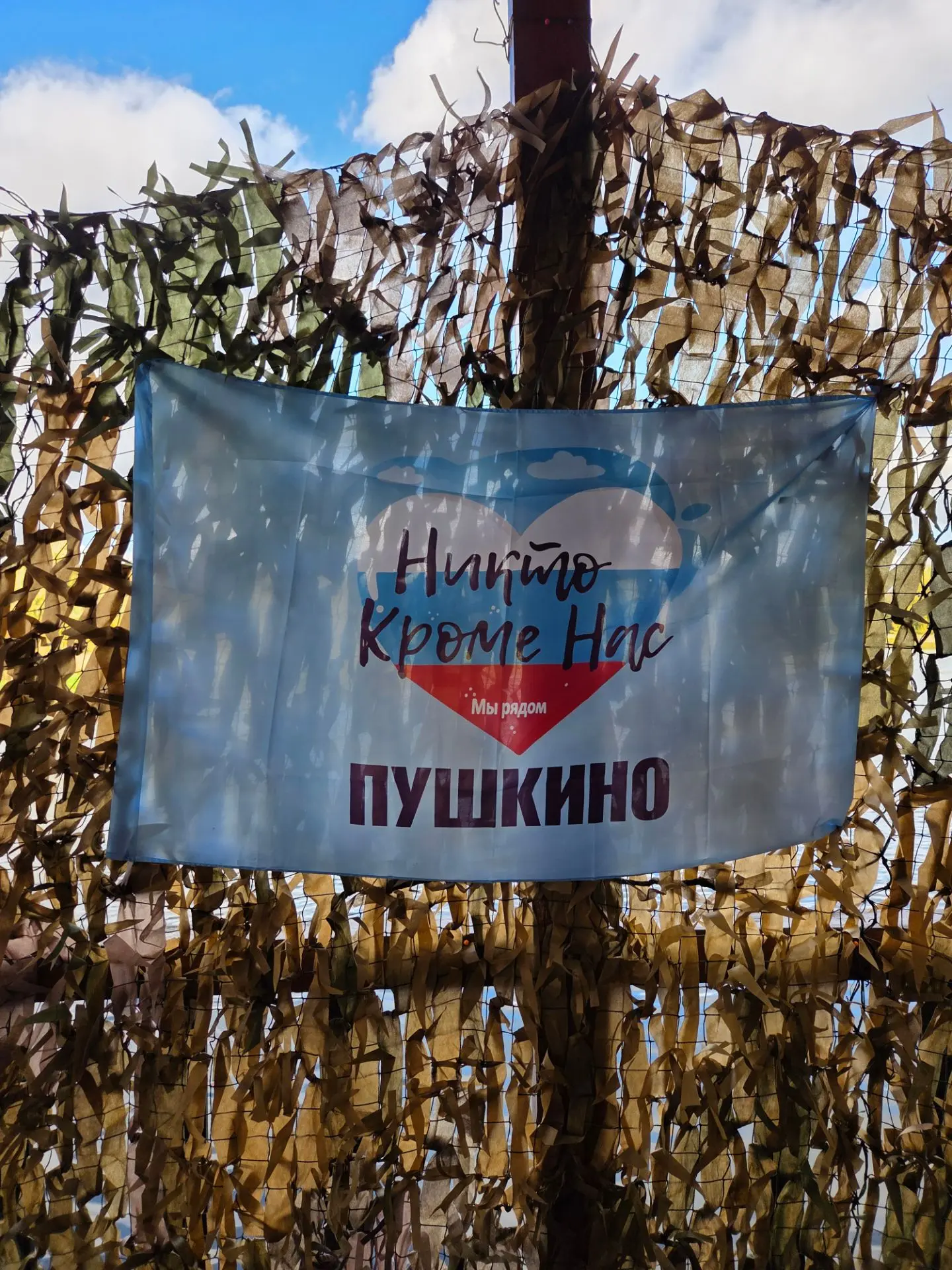Сила в единстве: Пушкинский округ чествует своих героев волонтеров