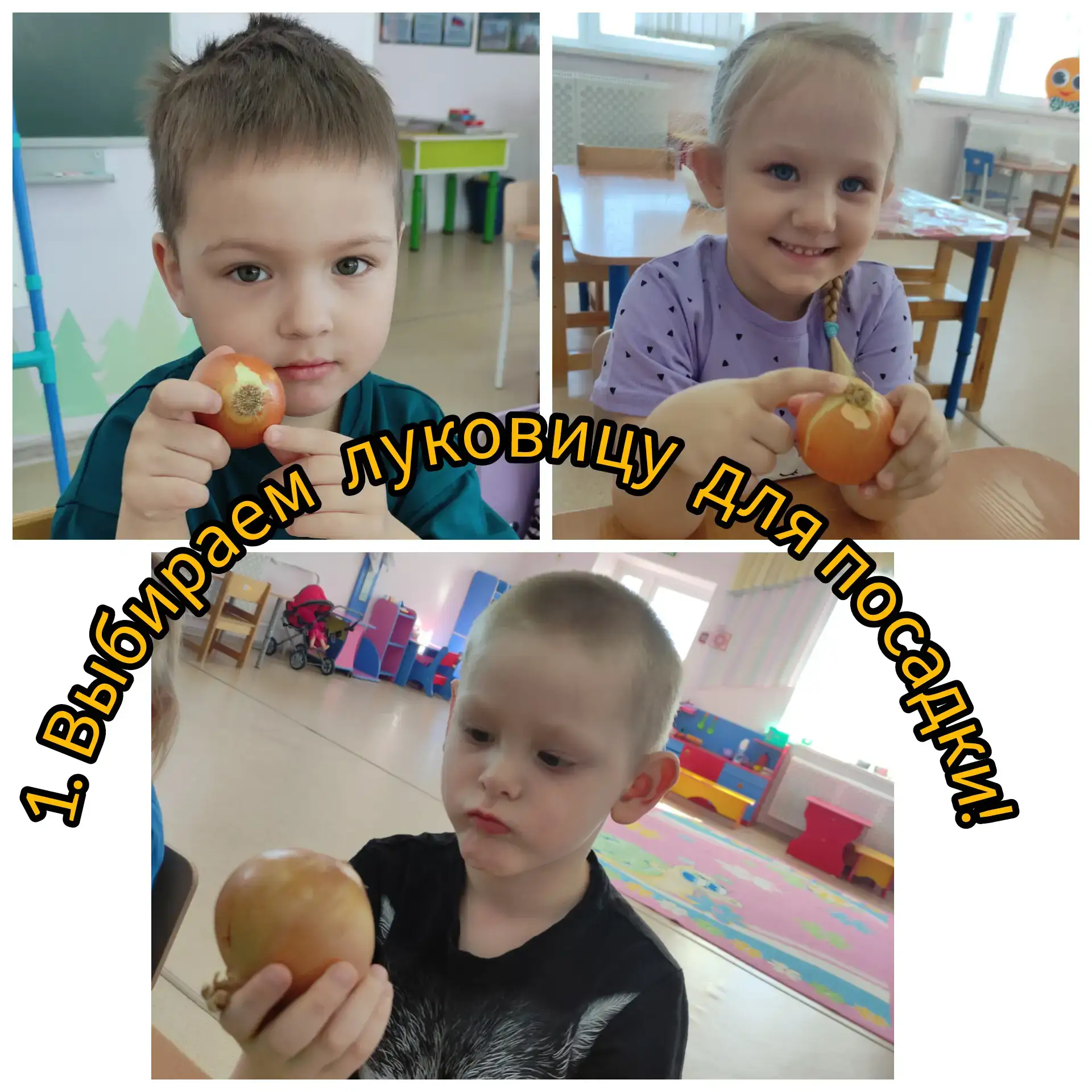 🧅 Как вырастить лук на подоконнике: секреты от наших юных огородников!
