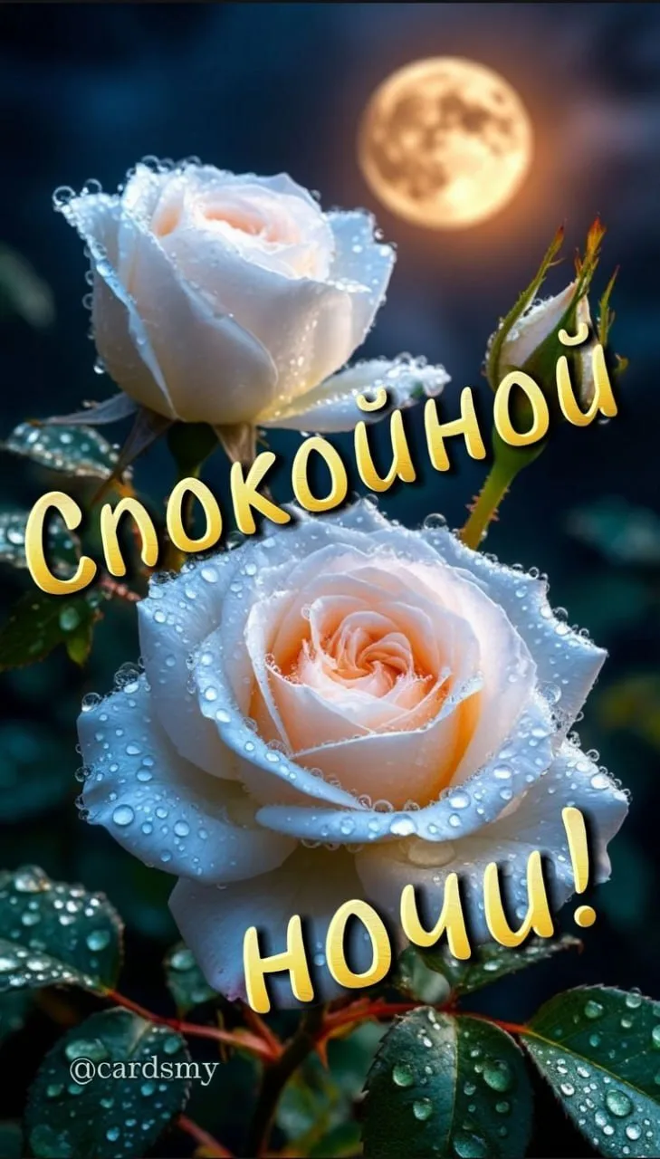 🙏Оставляйте реакции, если понравилась открытка и делитесь с близкими ❤️

 

Подпишись на нас 👇
🌹 