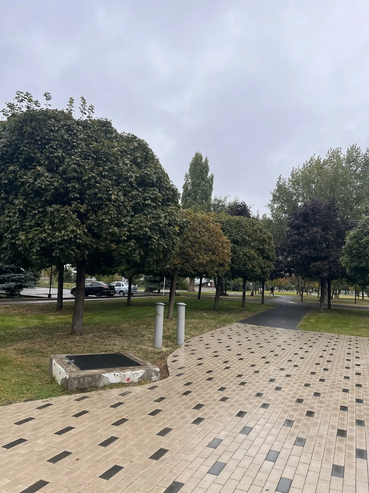 Самое красивое место на аллее, в плане деревьев.😍