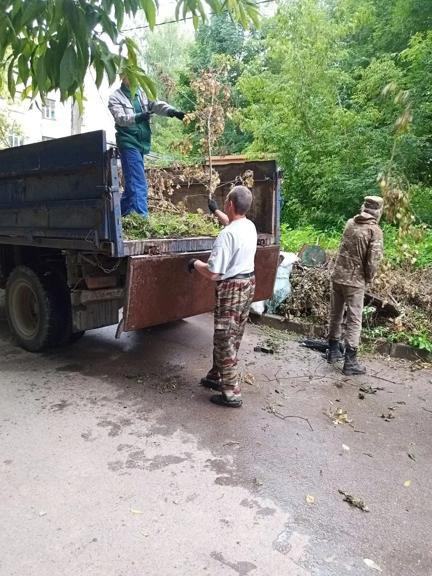 🌳 Вывоз веток продолжается 🏡 
 
Наша управляющая компания организовала вывоз веток и порубочных ос