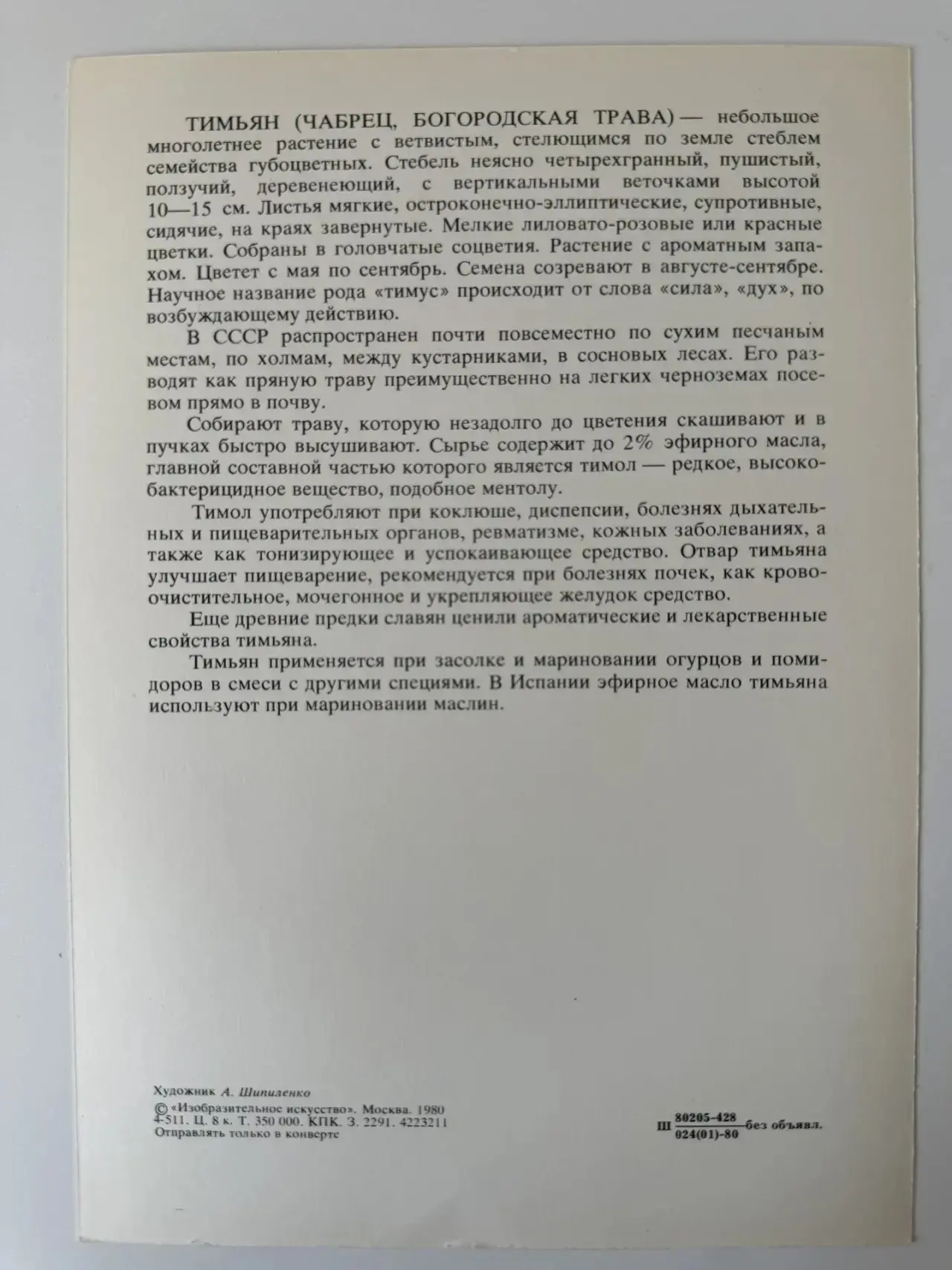 ТИМЬЯН (ЧАБРЕЦ)