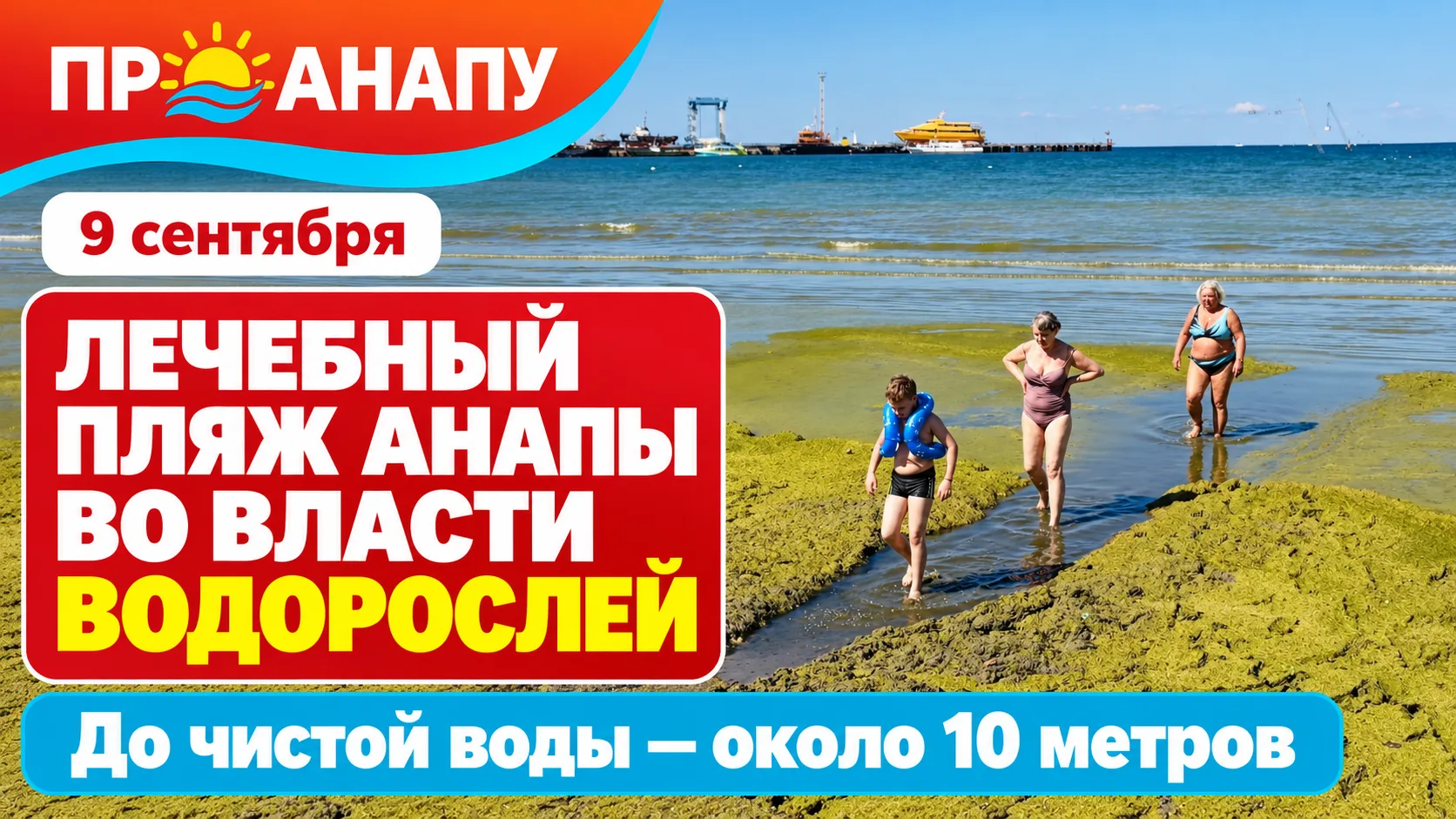 Лечебный пляж Анапы завалило камкой: до чистой воды приходится идти через водоросли