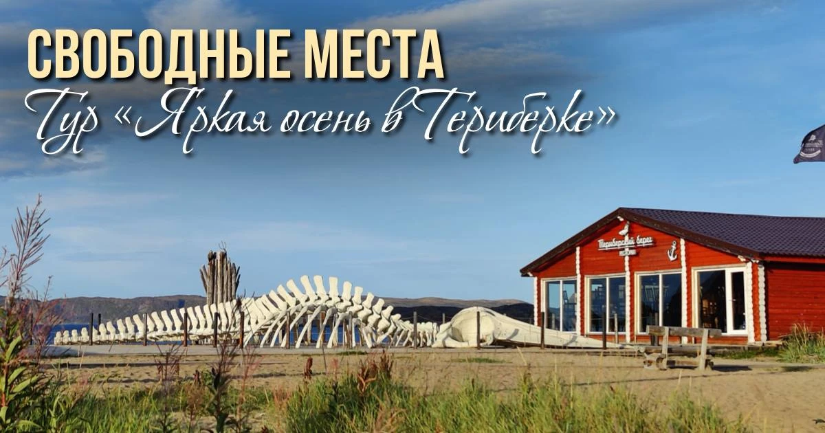 Тур «Яркая осень в Териберке»

11-13 сентября - 7 мест
18-20 сентября - 6 мест