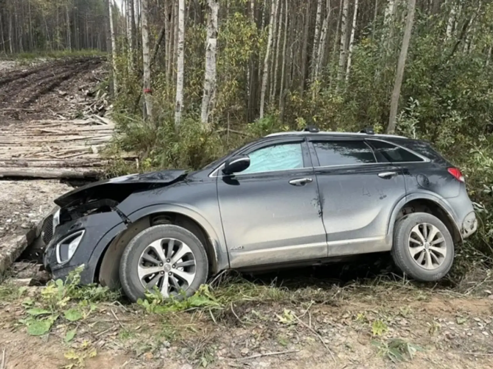В Приморском округе при съезде автомобиля в кювет пострадали двое детей и женщина