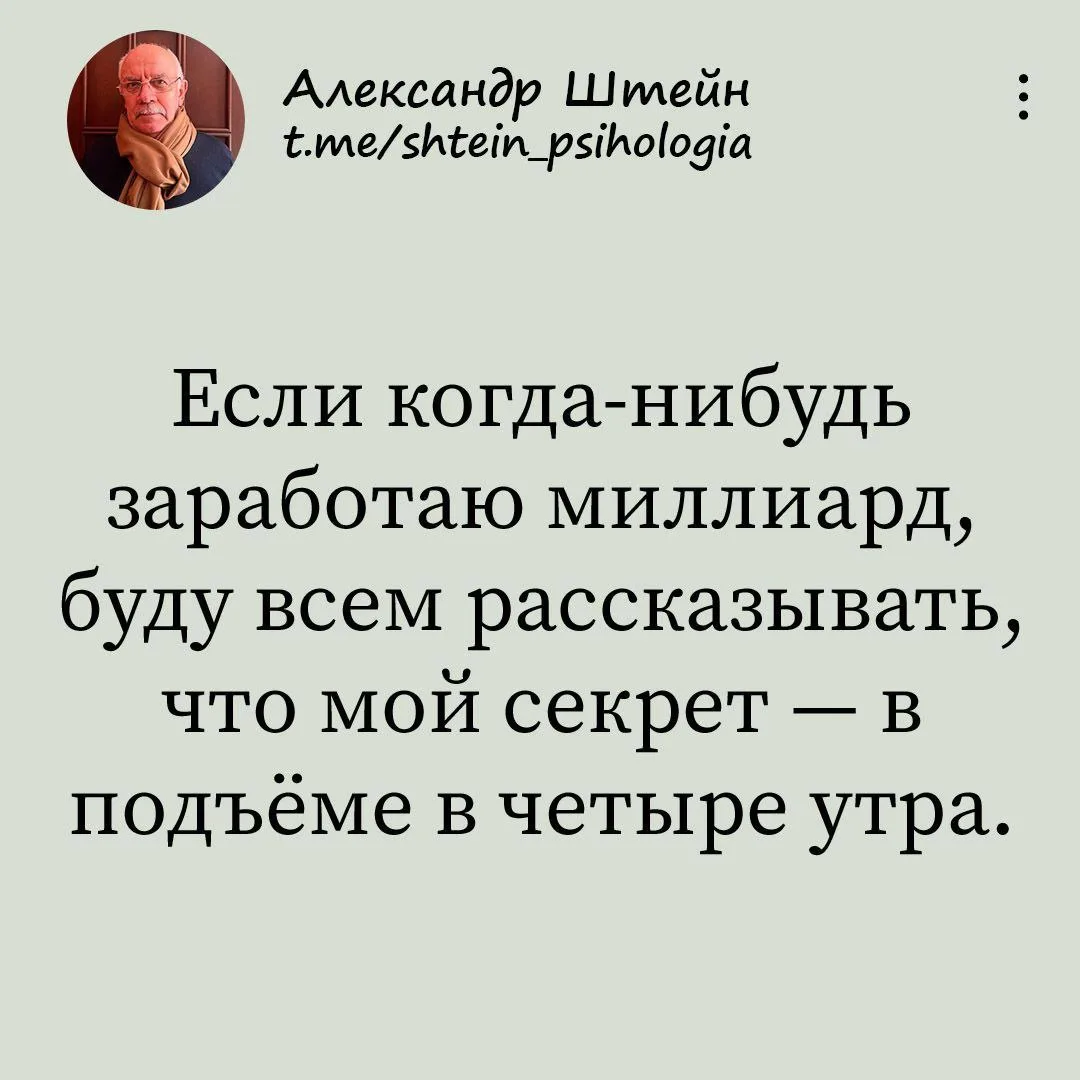 Александр Штейн