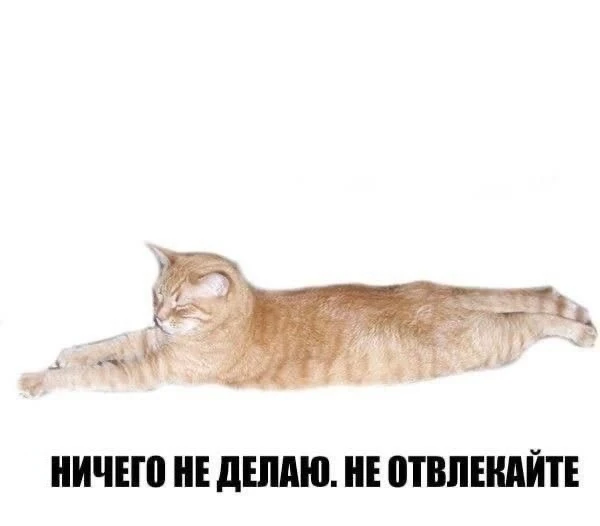 Узнаешь себя? 👀