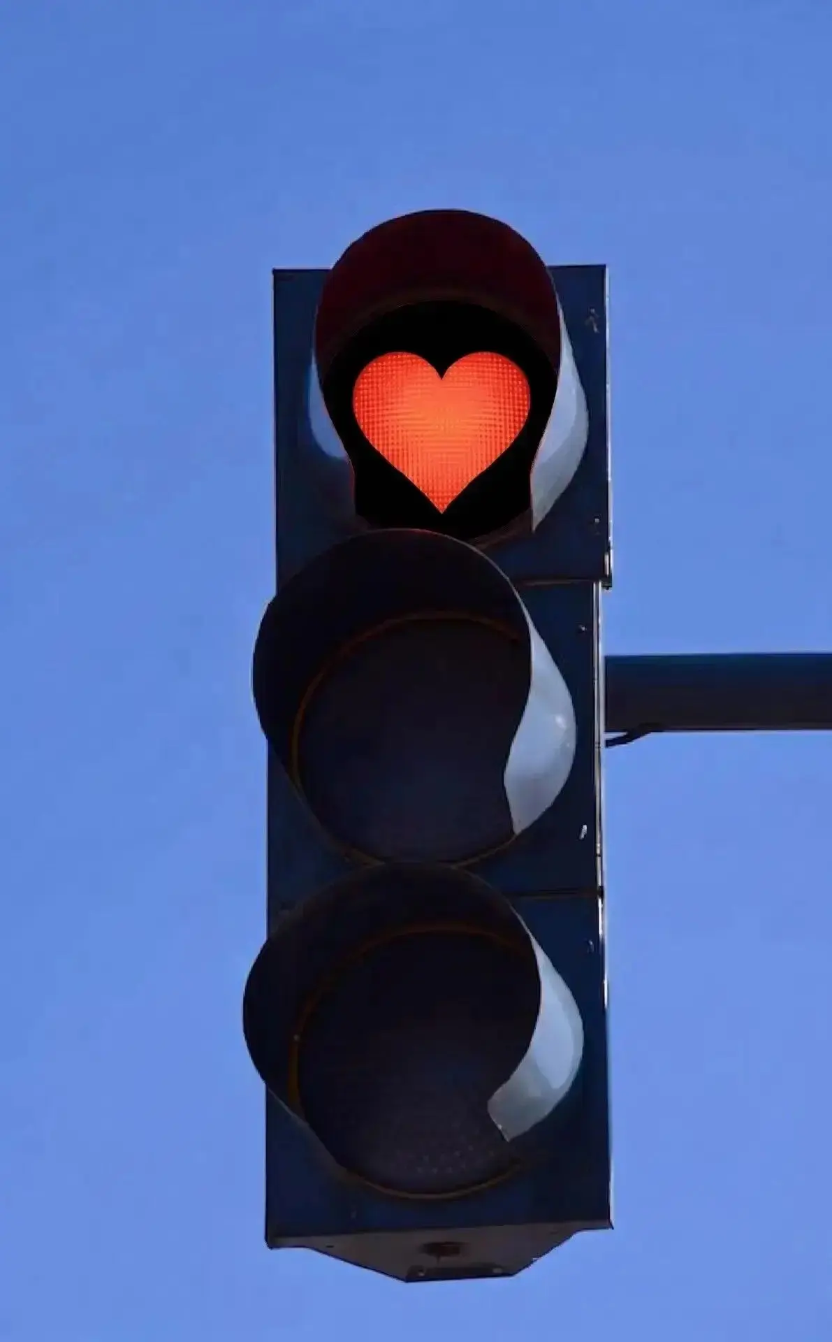 🚦 15 сентября в Рубцовске пройдёт день поддержки людей, получивших травмы в ДТП.