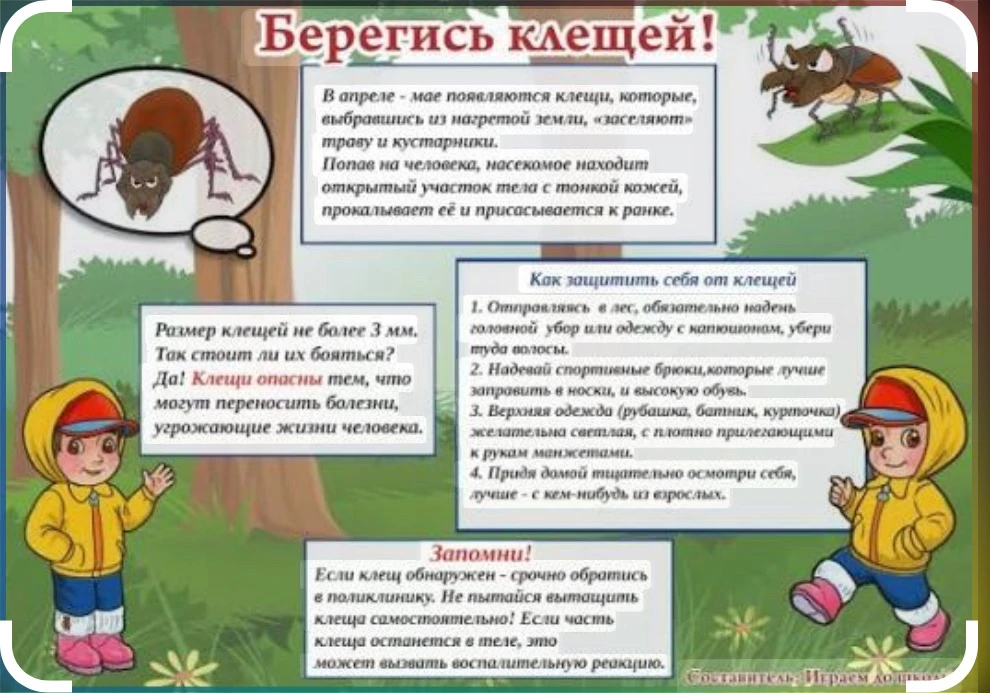 Клещи — это серьезная опасность, так как они переносят тяжелые инфекции, такие как клещевой энцефали