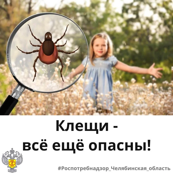 Управление Роспотребнадзора по Челябинской области напоминает о мерах профилактики и за...