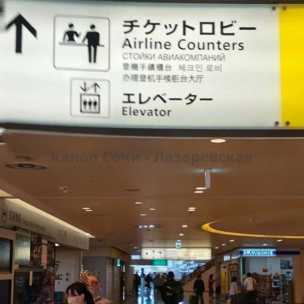 ════════⊹⊱≼≽⊰⊹═══════