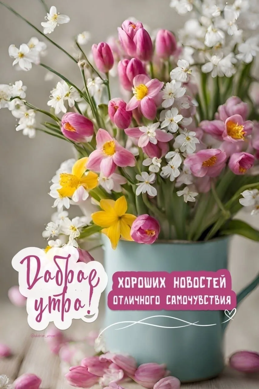 #доброеутро