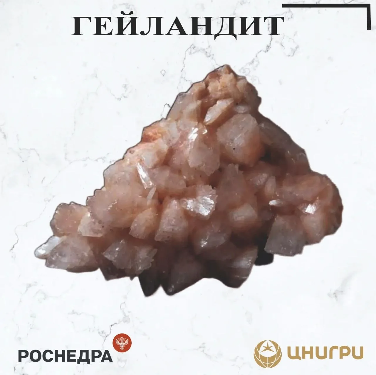 В эту среду ЦНИГРИ⁉️