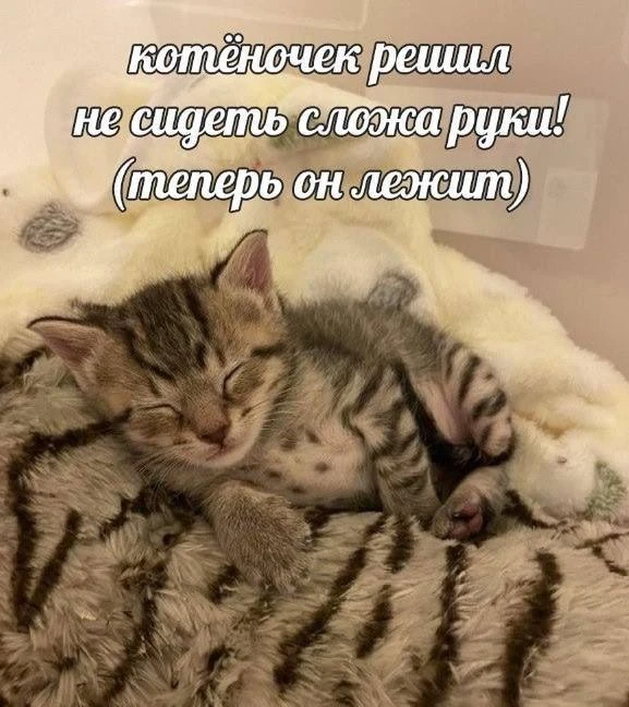 Подпишись🤣