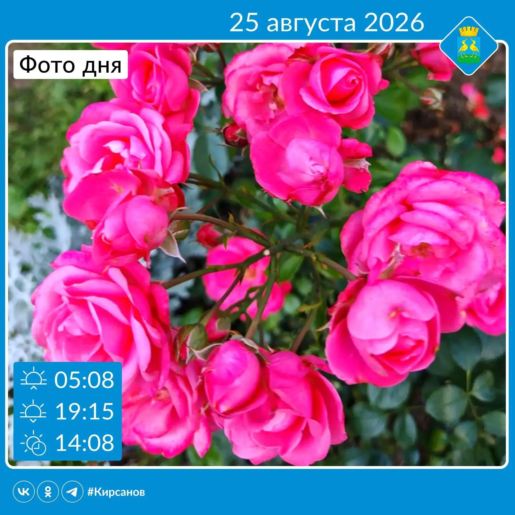 🌹Доброе утро, Кирсанов! Сегодня в России отмечают День оперативно‑поисковых подразделе...