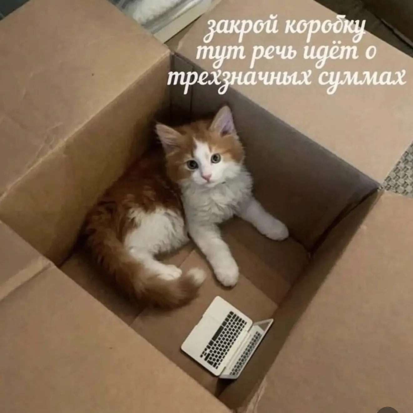 Нашёл мем о том, во сколько нам обходится поездка на месяц в Италию 🥲🥲🥲