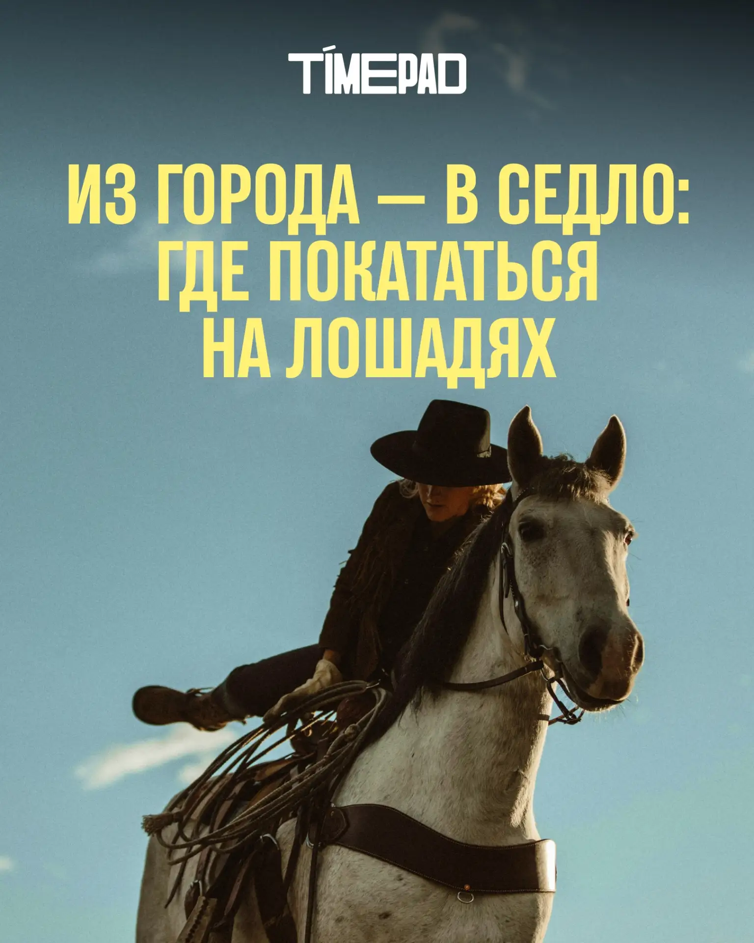 Психологи говорят, что общение с лошадьми — лучший антистресс.