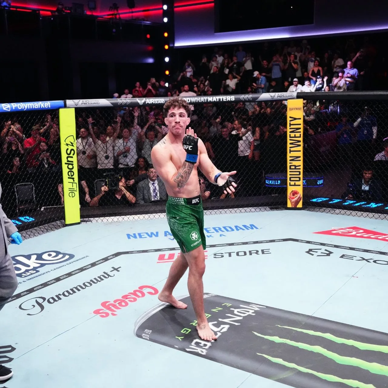 Изображение 1 к публикации «UFC»