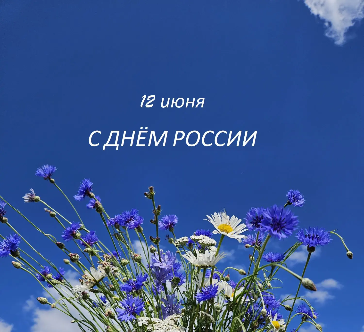 🇷🇺Детский экологический центр "Рифей" поздравляет всех с Днём России ! Россия — страна с многовеко