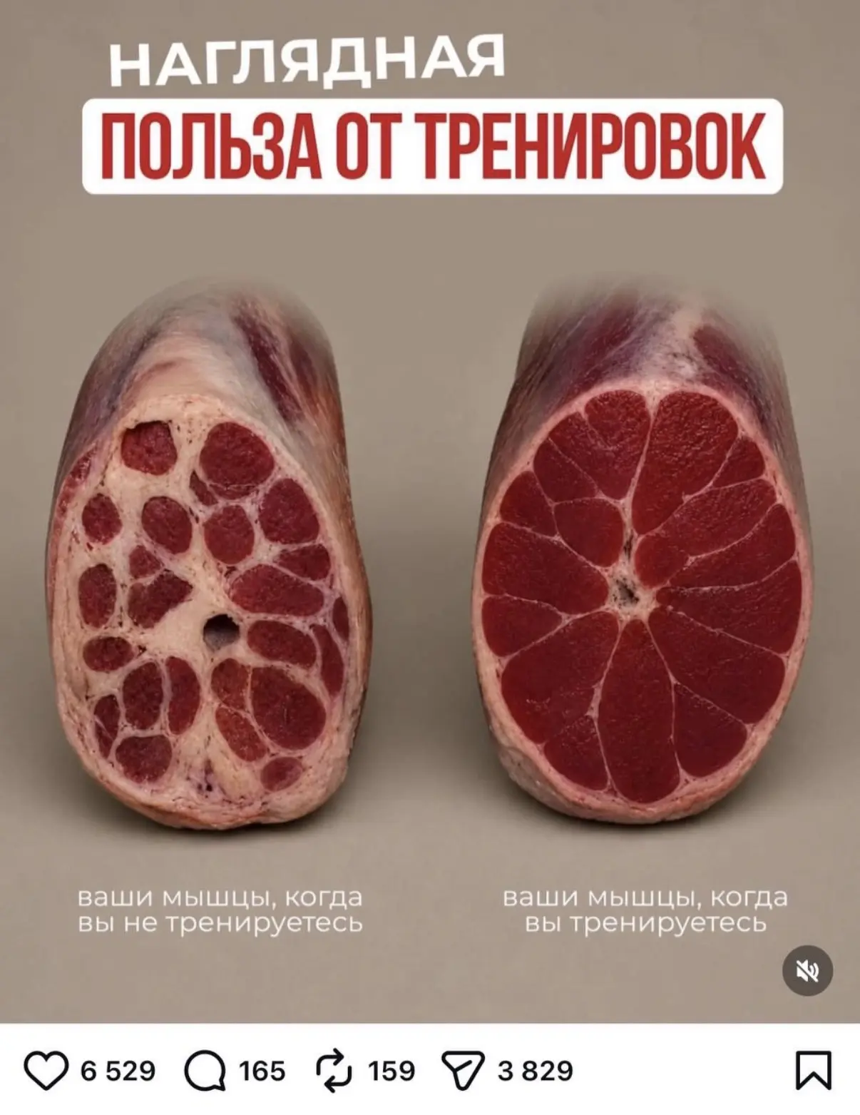 У меня неожиданно залетел этот пост. И это сразу видно по комментариям 🙈

‼️ Но есть и адекватные в