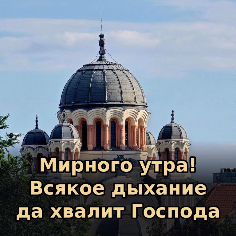 ☀️ Мирного утра! Начните день без спешки и раздражения — и он сложится совсем иначе.