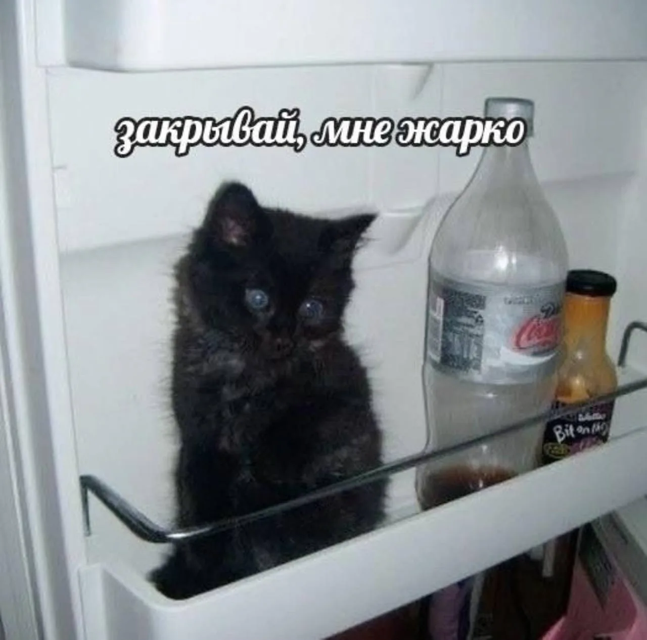Мемы каждый день • Подписаться