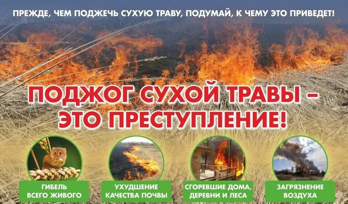 🔥С наступлением тепла учащаются случаи возгорания сухой растительности🔥
