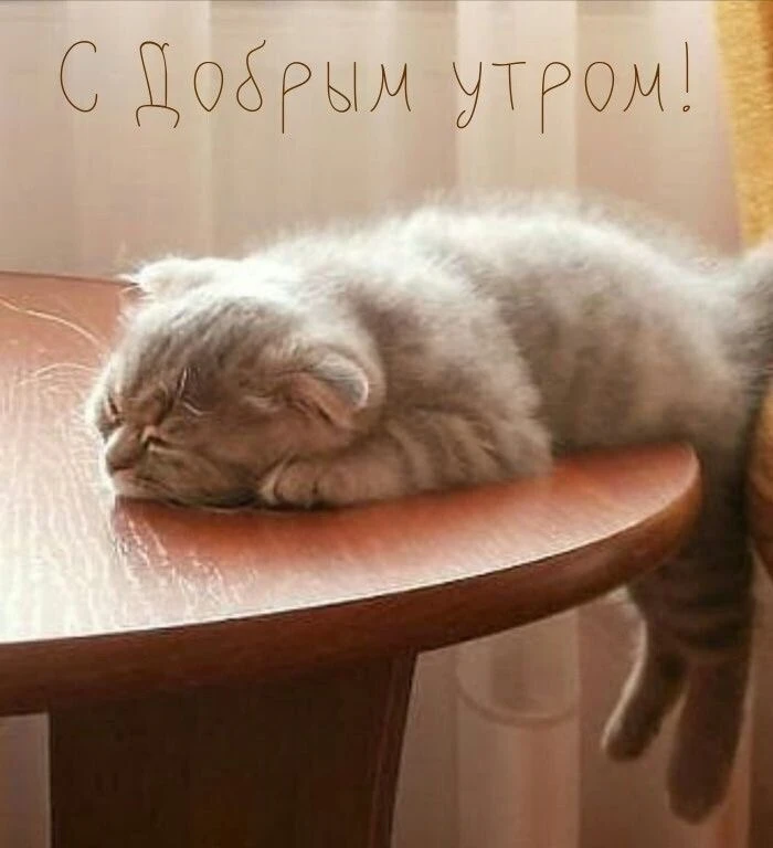 Красивые открытки❤️