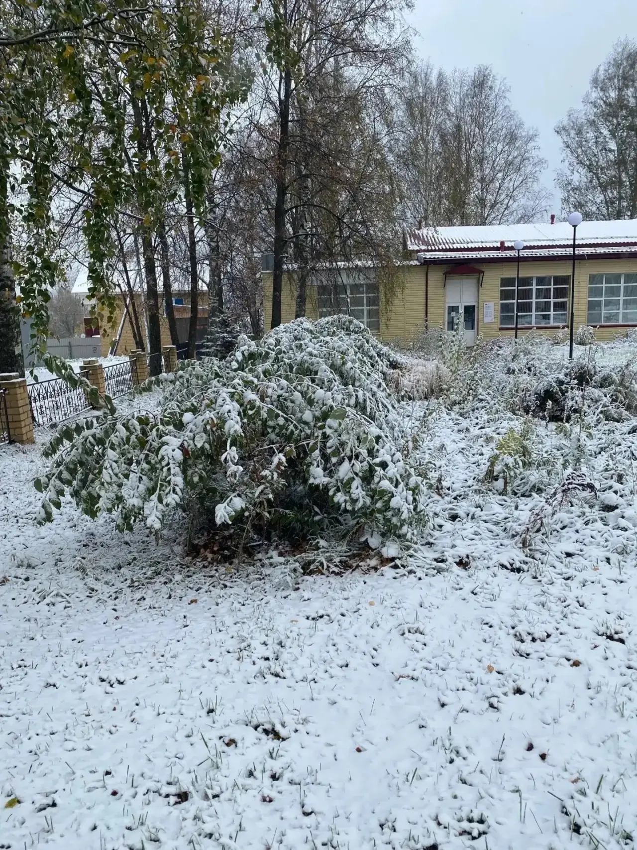 ❄️ Снежный пейзаж в Афанасьево