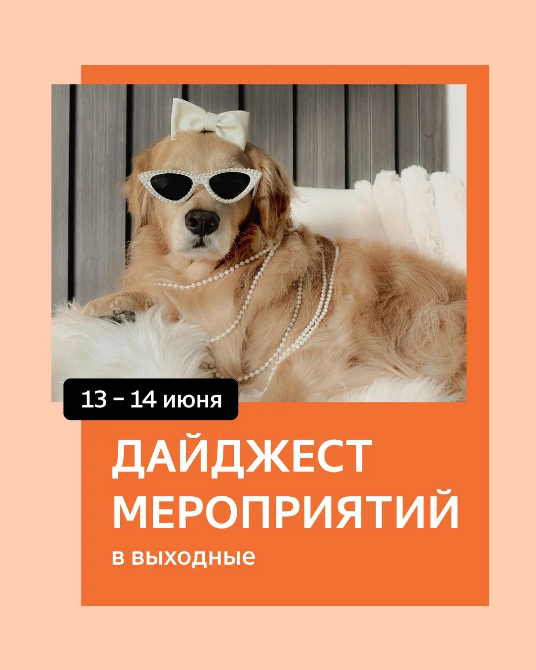 Приглашаем на мероприятия в эти выходные🌸

13 июня
📍Красноярск, 13:00
Вкусные открытия: дегустация