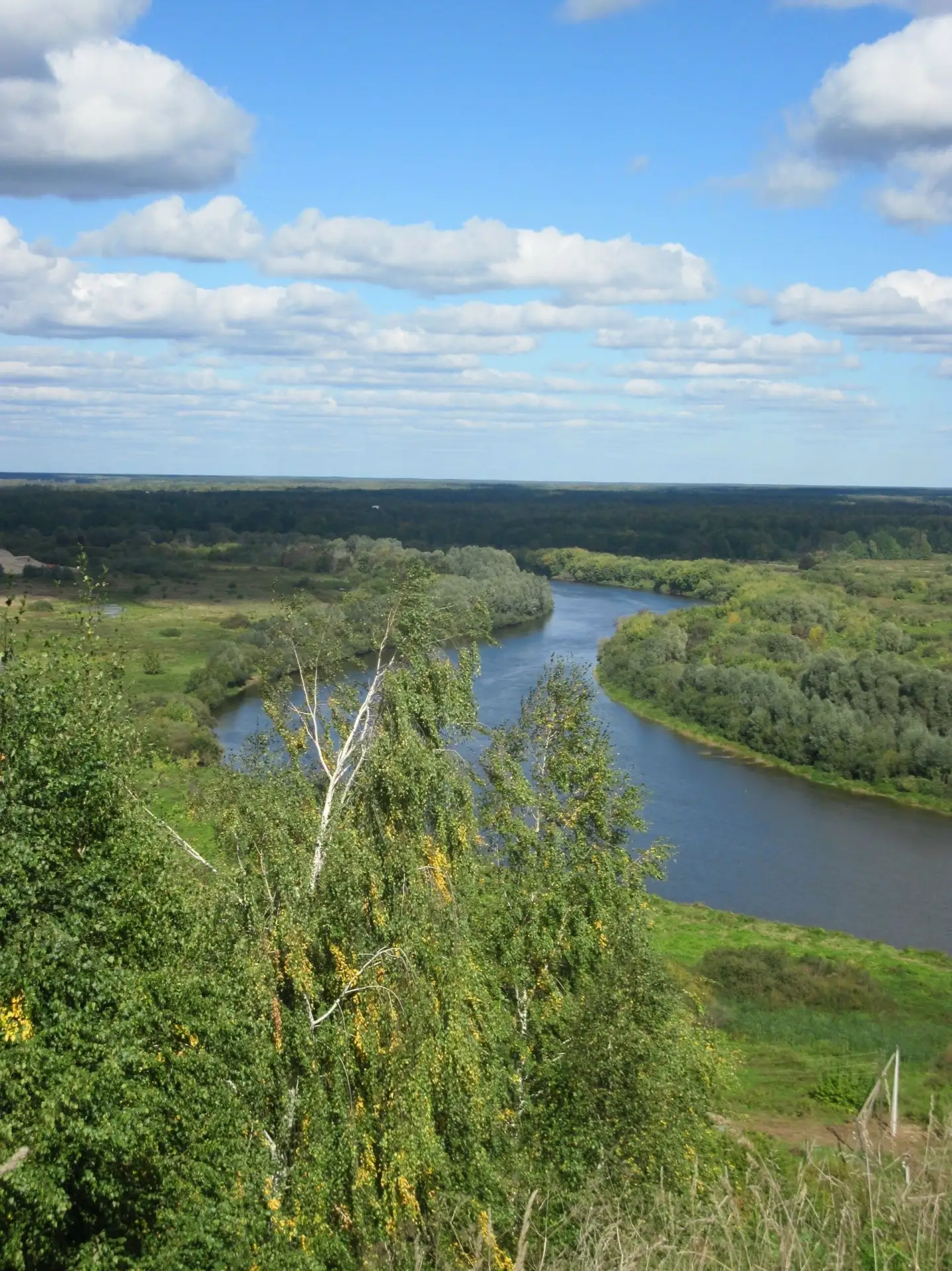 Вид на Клязьму с парка в Толмачево.