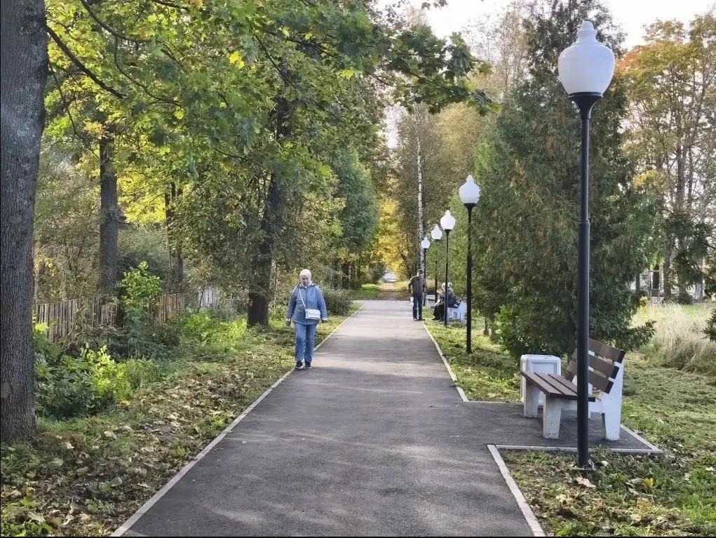 Преображение города Дно: аллея на улице Бульвар меняется шаг за шагом! 🌳✨