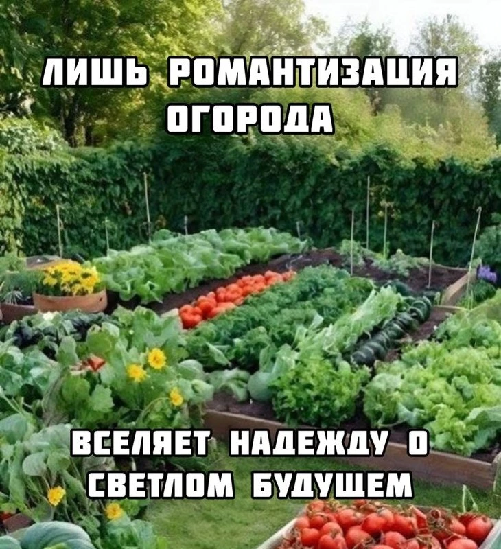 Светлое будущее уже наступило: рассада взошла, сорняки пока отступают, а первый огурчик вот-вот завя