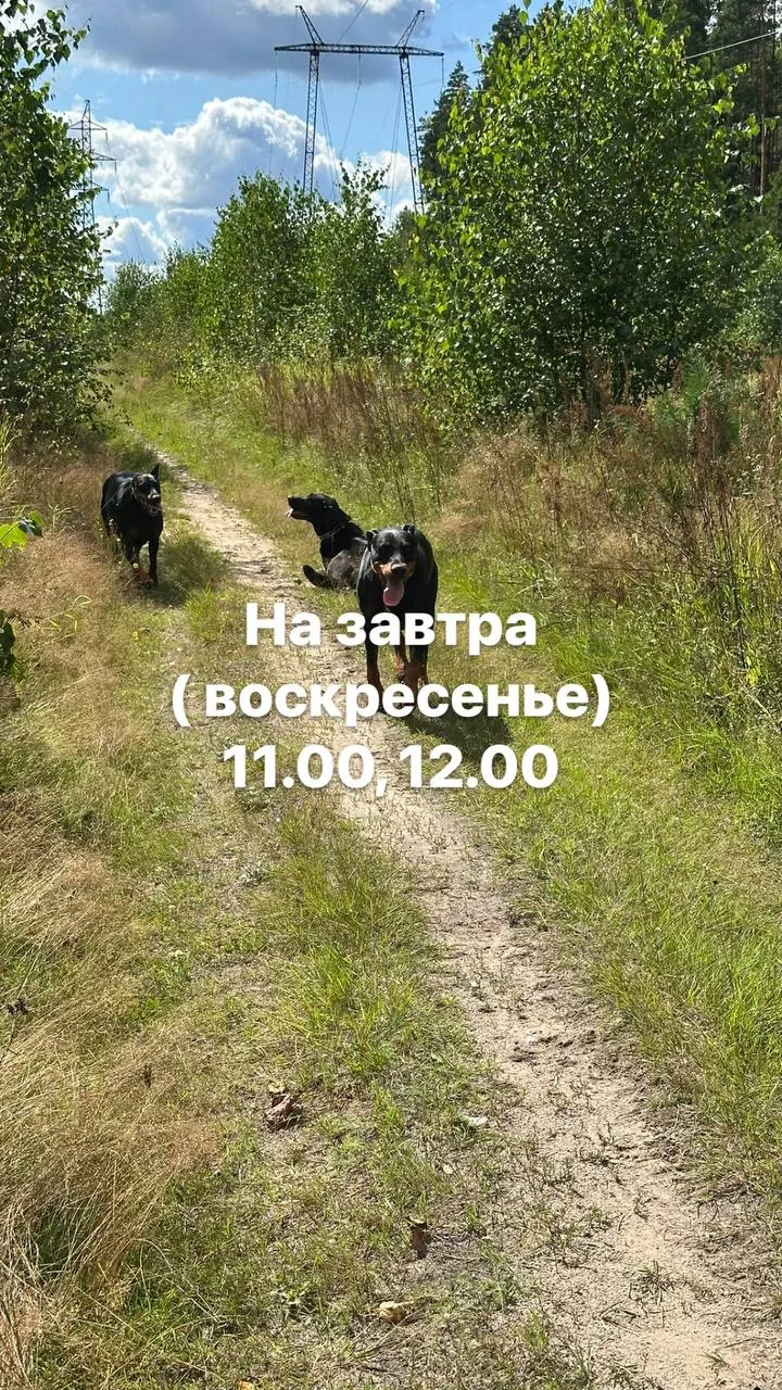 Мы вк
